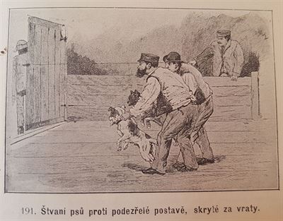 Vecky druhy ps, autor Vclav Fuchs, Praha 1903