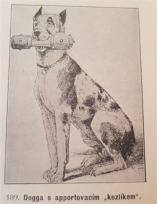 Vecky druhy ps, autor Vclav Fuchs, Praha 1903