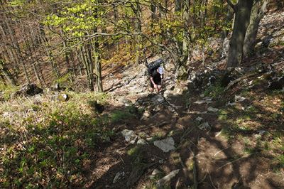 Mal Karpaty, kvten 2018