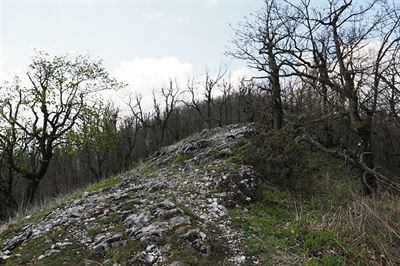 Mal Karpaty, kvten 2018