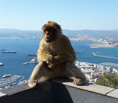 Gibraltar 3