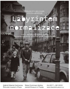 Labyrintem normalizace