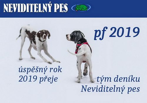 PF2019