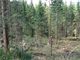 Šumava 1 Šumava 1