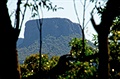 Hora The Castle od píjezdové cesty. Národní park Budawangs, Austrálie