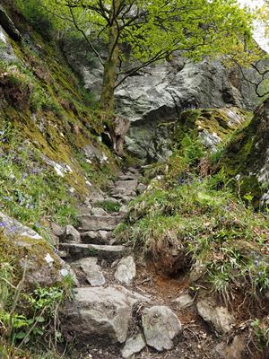 Cestou po West Highland Way.