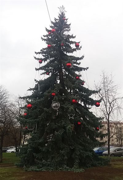 Na rozdíl od některých jiných, hojně vysmívaných na sociálních sítích, naše...