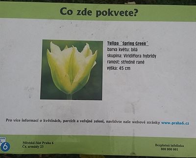 Už v listopadu víme, co nám zahradníci zasázeli na jaro