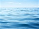 Oceán Oceán