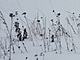 Přes pole Přes pole