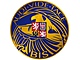 BIS logo BIS logo