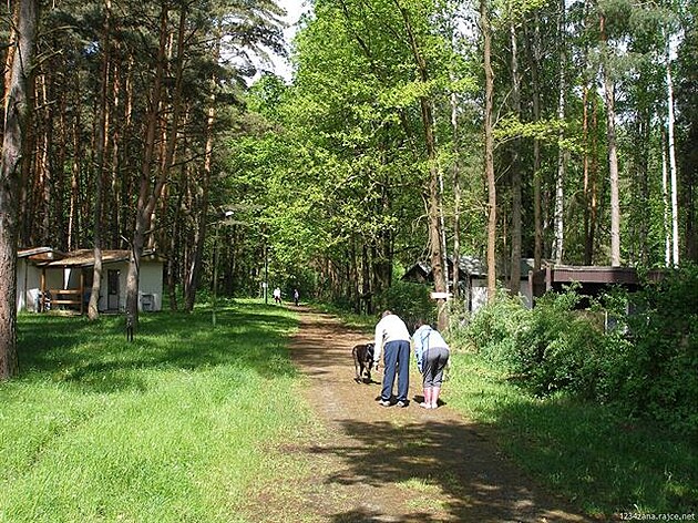 2013 - Kivonoska u Hluboké