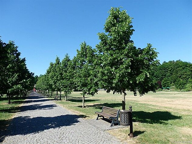 Cesta do Lázní Evenie