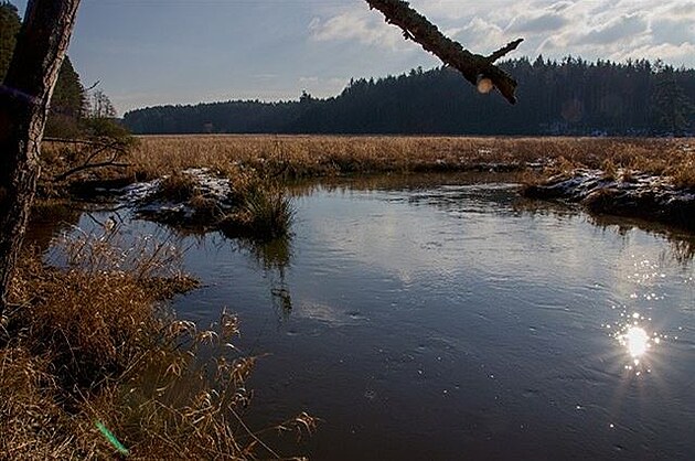 Plounice. Ralská pahorkatina