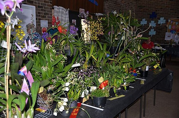 Výstava orchidejí v Austrálii