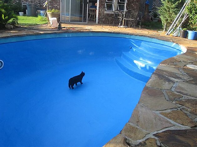 Natený bazén, Rusty kontroluje moji práci
