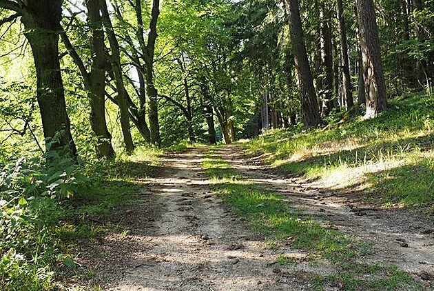 eská Kanada, Jindichohradecko, ervenec 2017