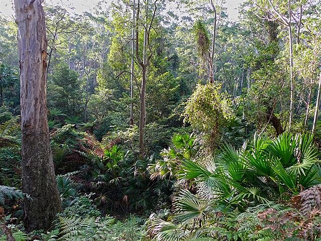 Národní park Budawangs, Austrálie