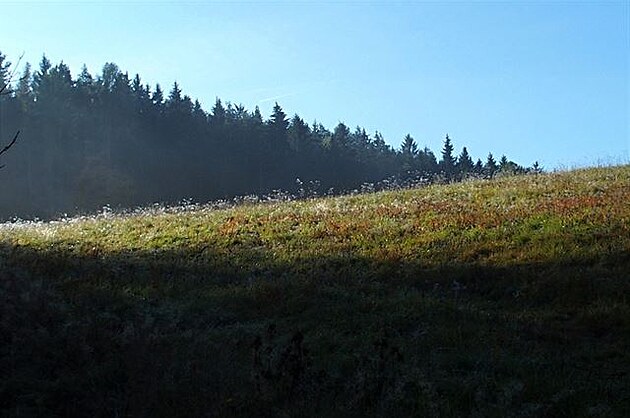 Svitavská pahorkatina, íjen 2017