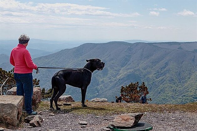 Na Mont Aigoual hodn foukalo. Dovolená ve Francouzském stedohoí.