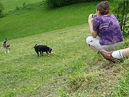 2008 - Dakovice na Vysoin