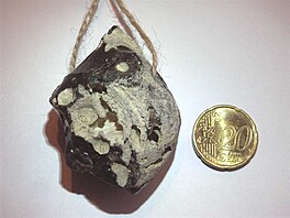 Drav baltick pazourek jako amulet (s minc pro srovnn)