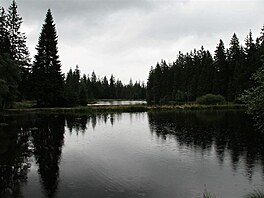 Kladensk raelinit