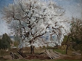 Apple Tree in Blossom, Carl Frederik Hill, 1877