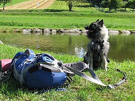 Dogtrek - batoh v jako Feri. Vl pic.