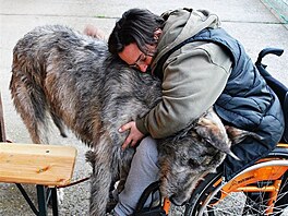 Setkn s ptelskm vlkodavem (nejlep esk tenistka mezi vozki Laka...