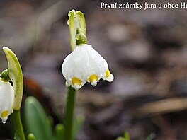 U obce Hony. Zpten cesta z Ruprechtickho piku 25.3.2016