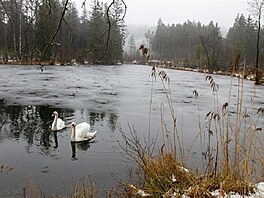 Dvnsk rybnk. Ralsk pahorkatina