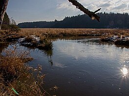 Plounice. Ralsk pahorkatina