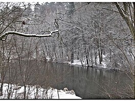 Zima se v beznu nevzdvala