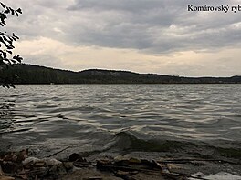 Komrovsk rybnk. eskm rjem kolem Kokona do Dran, z 2016.