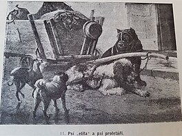 Z knihy Vecky druhy ps, autor Vclav Fuchs, Praha 1903