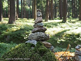 Cestou na Schillerv kmen. esk Kanada, Jindichohradecko, ervenec 2017