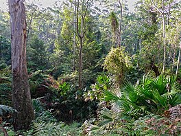 Nrodn park Budawangs, Austrlie