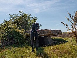 Hledn dolmen. Francouzsk stedoho.