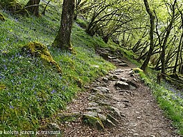 Cesta kolem Loch Lomond. West Highland Way.