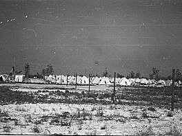 Mamaia 1956, tbor SM