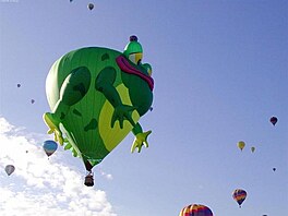 Albuquerque International Balloon Fiesta 3