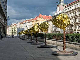 Protestujc zvrokruh, foto Tereza Kenov