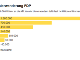 bundestag 8