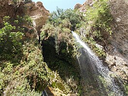 Nachal David 1