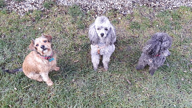 Kess a sestry Molly a Kira