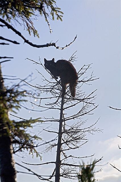 13 - ekla bych nepohodlné