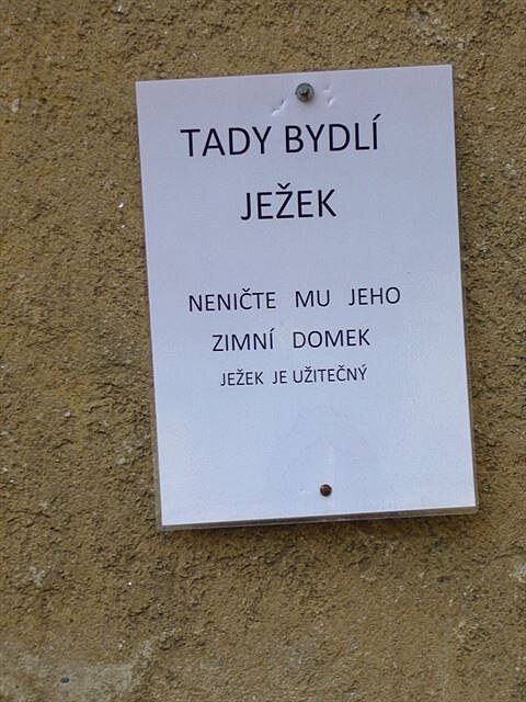 Tady je jekovo!