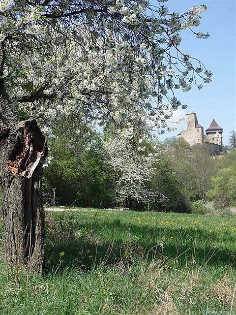 Lipnice nad Sázavou - hrad