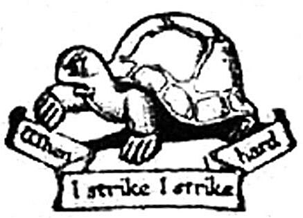 fabian turtle
